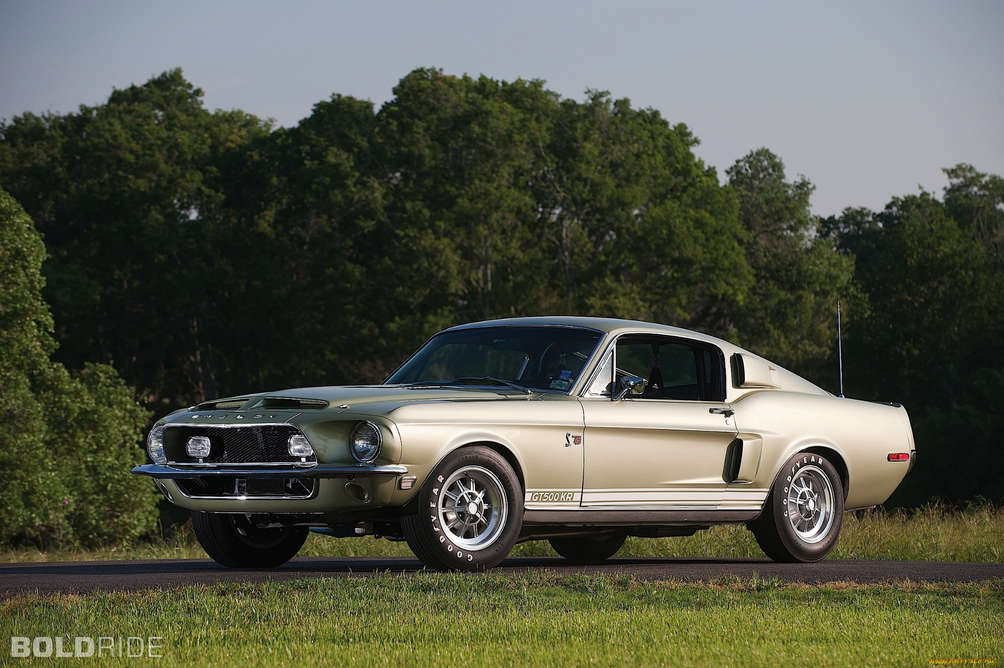 ford, mustang, shelby, gt500, kr, 
